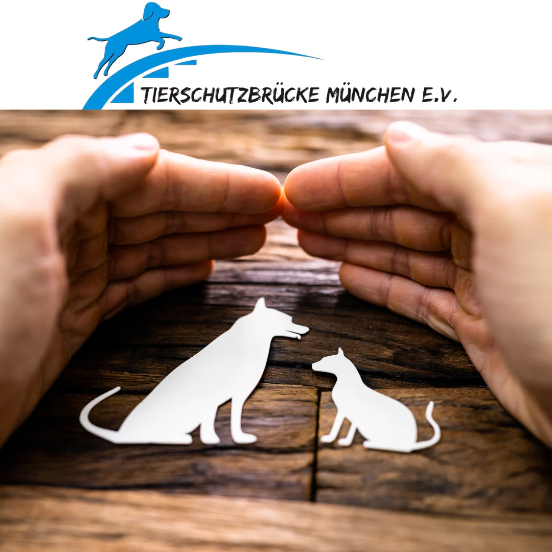 Tierschutzbruecke_Muenchen_e.V..png Tierschutzbruecke Muenchen e.V.png Warum Kiss Me Coffee selbst erfahrene Kaffeeliebhaber überzeugt